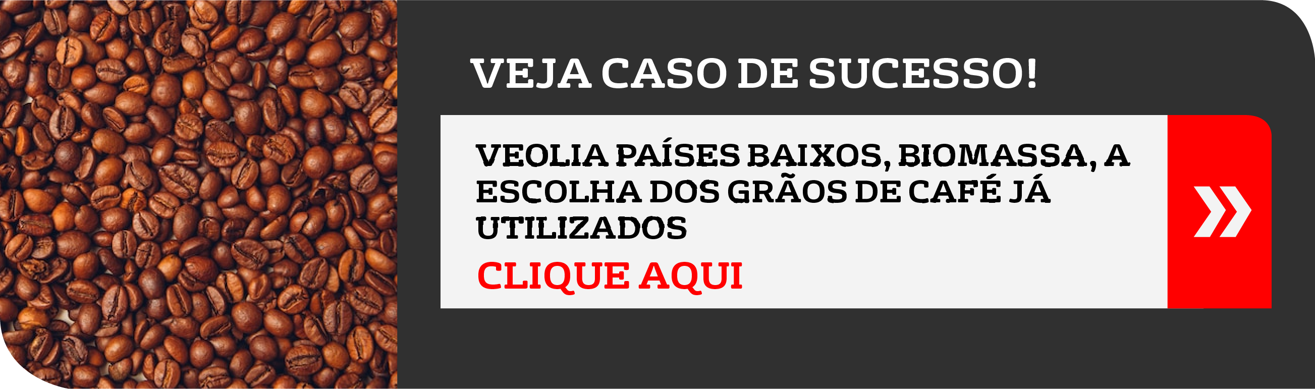 caso de sucesso