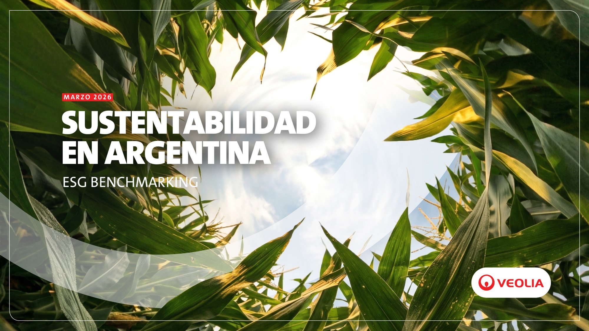 Descarga el reporte