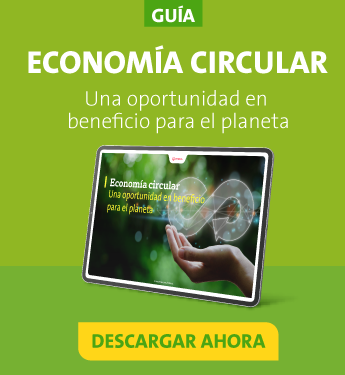 Descarga la guía y descubre las claves de la economía circular
